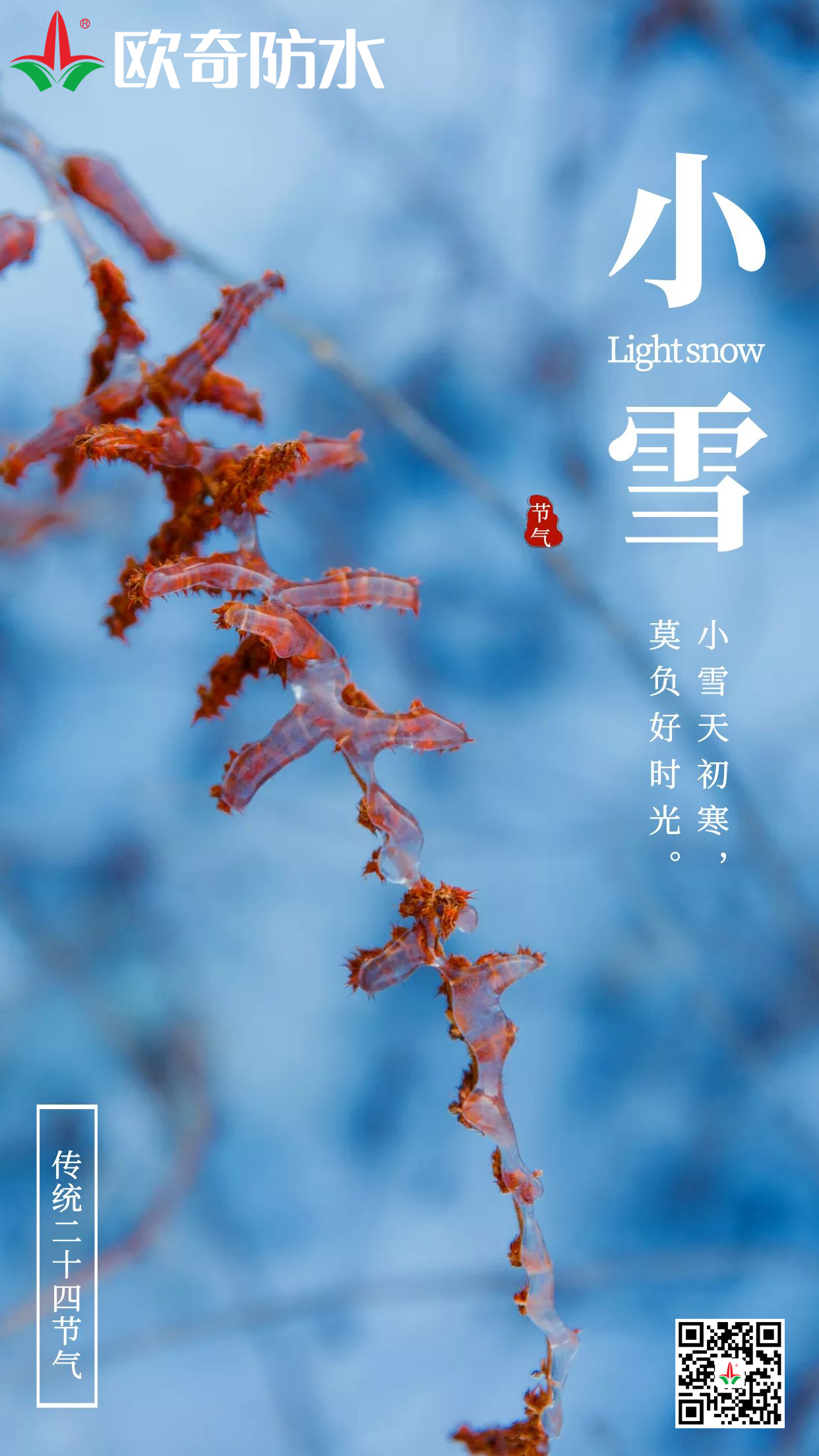 小雪59432.jpg