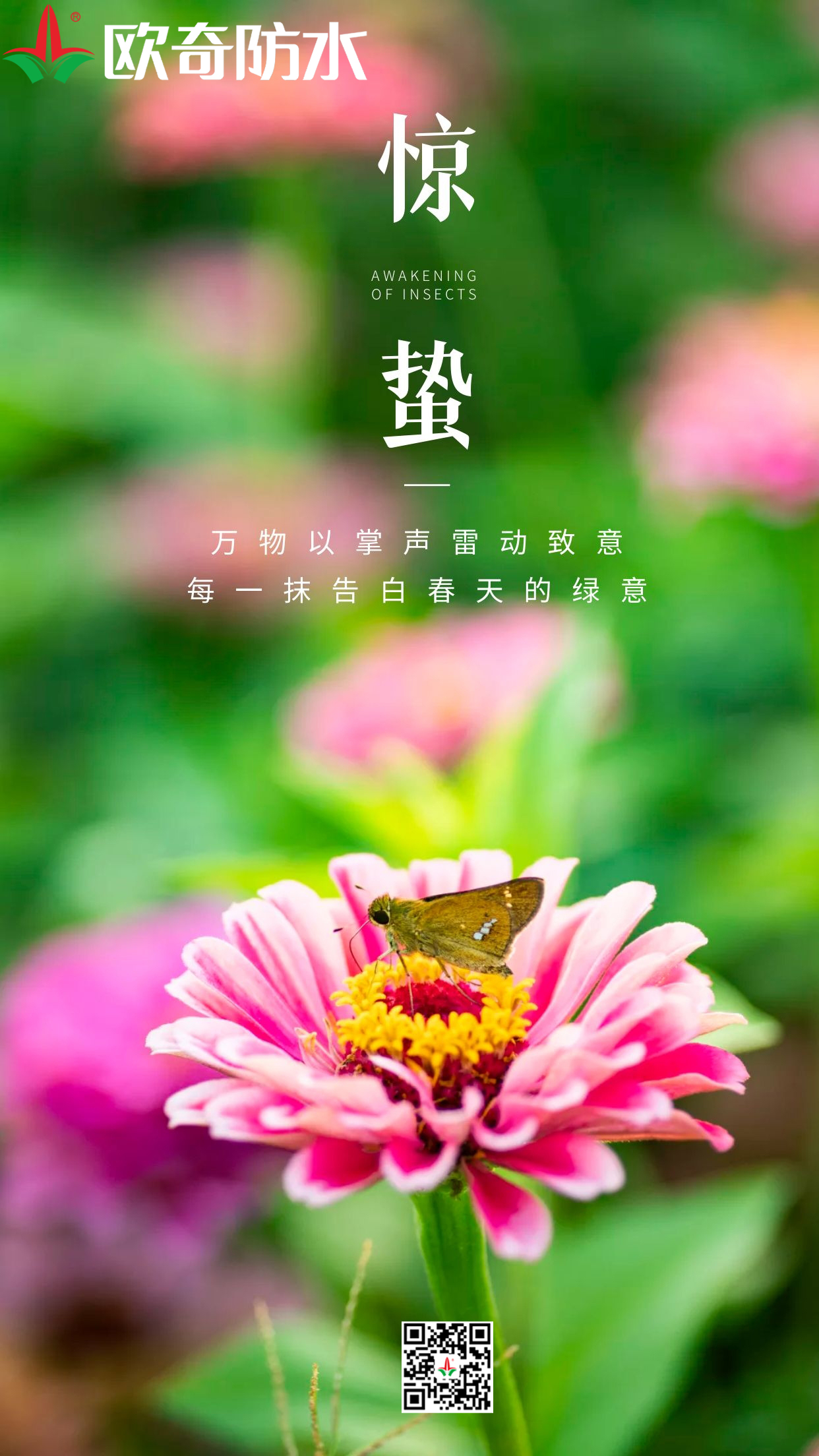 歐奇驚蟄.jpg